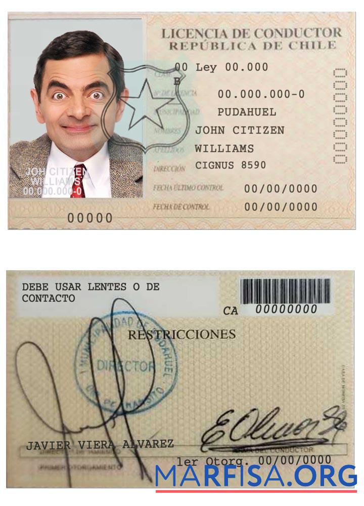 Printable Chile licencia de conductor download for verification